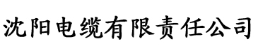 麻豆视传媒官方电缆厂logo